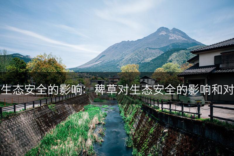 稗草对生态安全的影响：稗草对生态安全的影响和对策分析(图1)