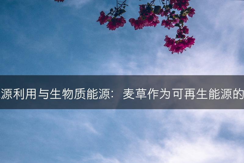 麦草的能源利用与生物质能源：麦草作为可再生能源的潜力分析(图1)
