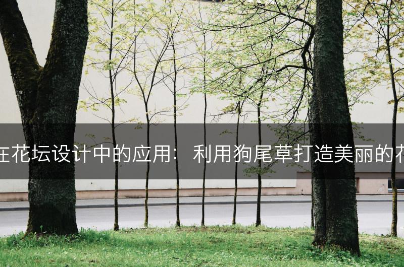 狗尾草在花坛设计中的应用：利用狗尾草打造美丽的花坛景观(图1)