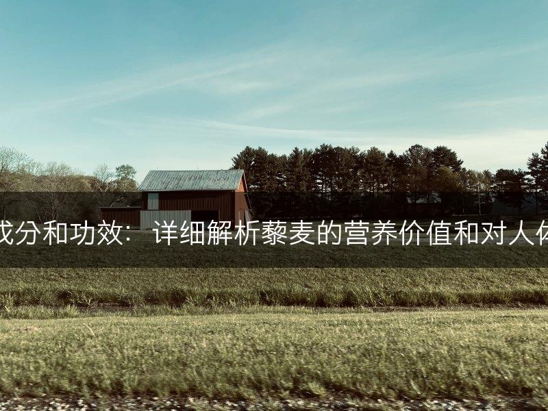 藜麦的营养成分和功效：详细解析藜麦的营养价值和对人体的健康功效(图1)
