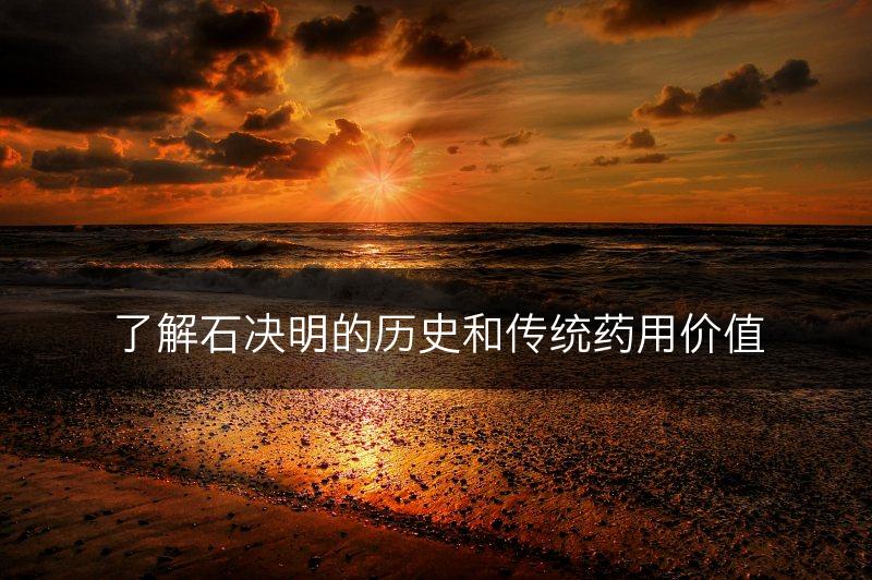 了解石决明的历史和传统药用价值(图1)