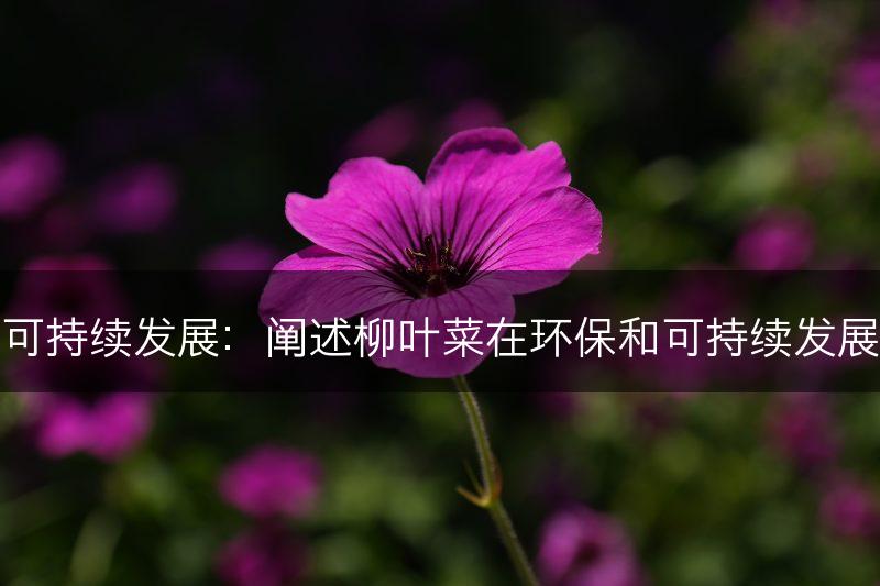 柳叶菜与环保和可持续发展：阐述柳叶菜在环保和可持续发展中的作用和意义(图1)