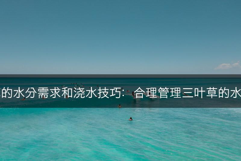 三叶草的水分需求和浇水技巧：合理管理三叶草的水分供应(图1)