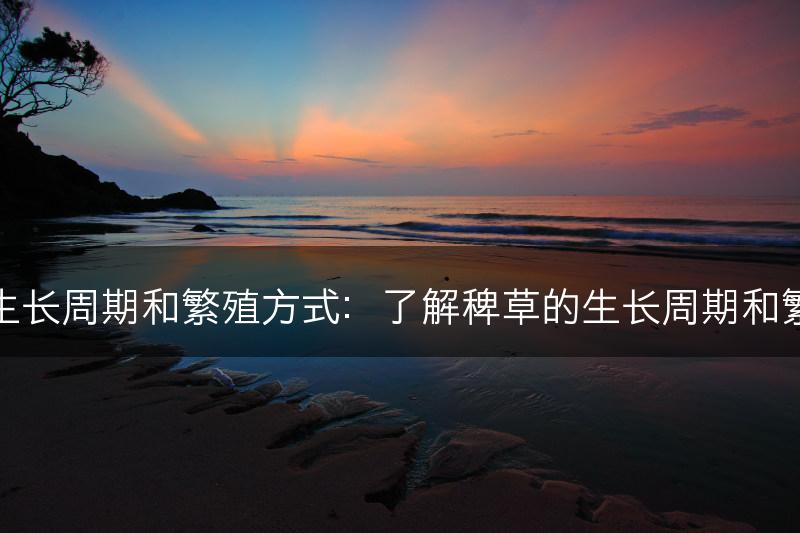稗草的生长周期和繁殖方式：了解稗草的生长周期和繁殖途径(图1)