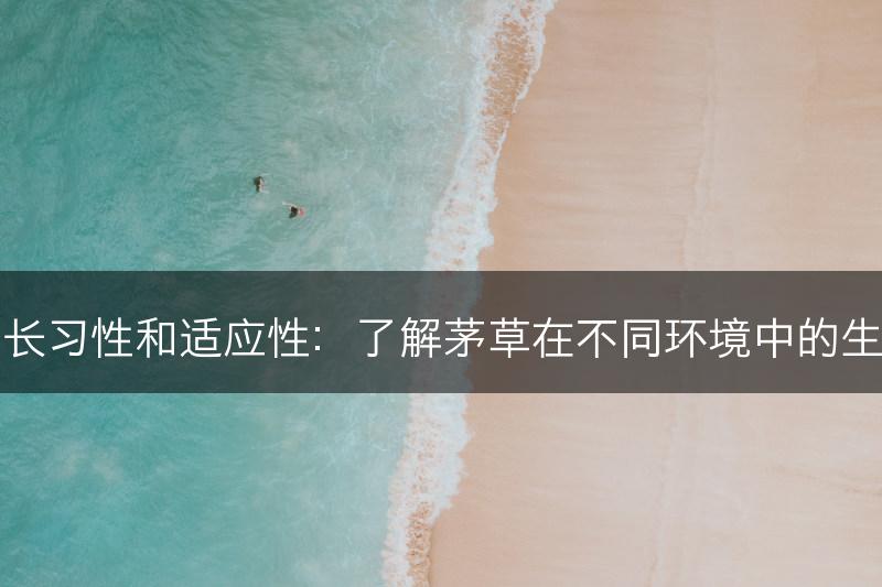 茅草的生长习性和适应性：了解茅草在不同环境中的生长适应性(图1)