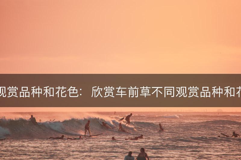 车前草的观赏品种和花色：欣赏车前草不同观赏品种和花色的美丽(图1)