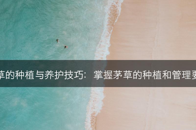 茅草的种植与养护技巧：掌握茅草的种植和管理要点(图1)
