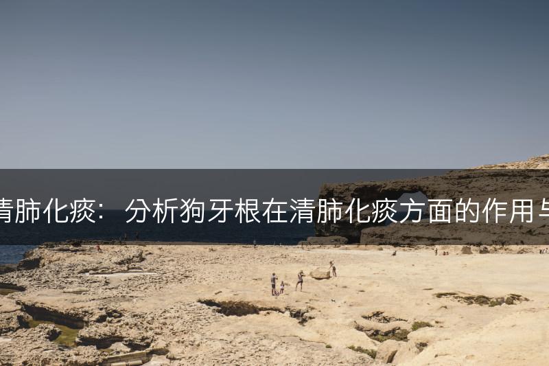 狗牙根与清肺化痰：分析狗牙根在清肺化痰方面的作用与食用建议(图1)