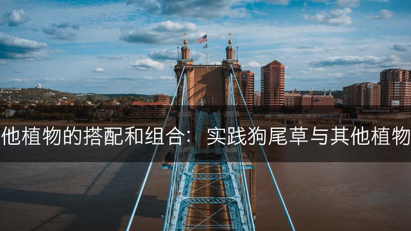 狗尾草和其他植物的搭配和组合：实践狗尾草与其他植物的搭配方式(图1)