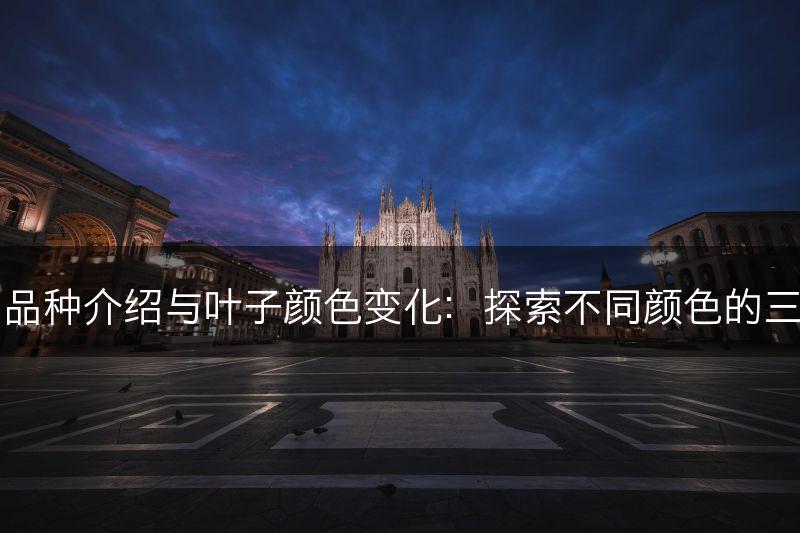 三叶草的品种介绍与叶子颜色变化：探索不同颜色的三叶草品种(图1)