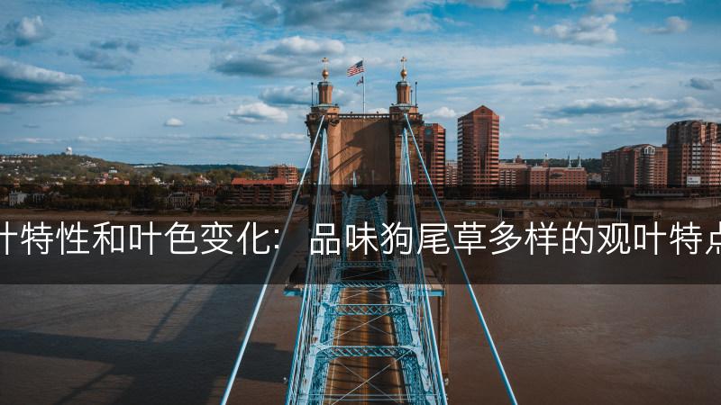 狗尾草的观叶特性和叶色变化：品味狗尾草多样的观叶特点和叶色变化(图1)