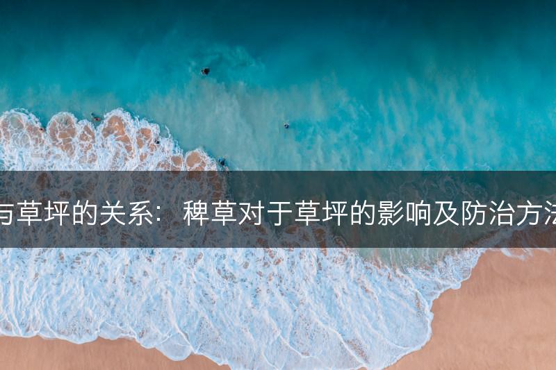 稗草与草坪的关系：稗草对于草坪的影响及防治方法介绍(图1)