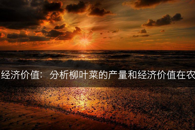 柳叶菜的产量和经济价值：分析柳叶菜的产量和经济价值在农业生产中的作用(图1)