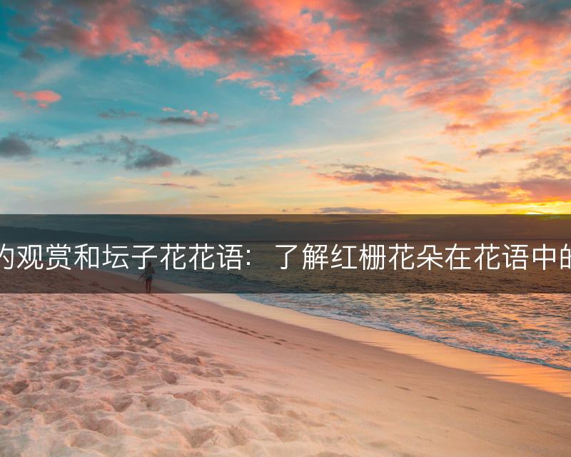 红栅的观赏和坛子花花语：了解红栅花朵在花语中的含义(图1)