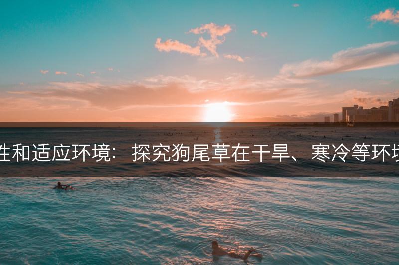 狗尾草的抗逆性和适应环境：探究狗尾草在干旱、寒冷等环境中的适应能力(图1)