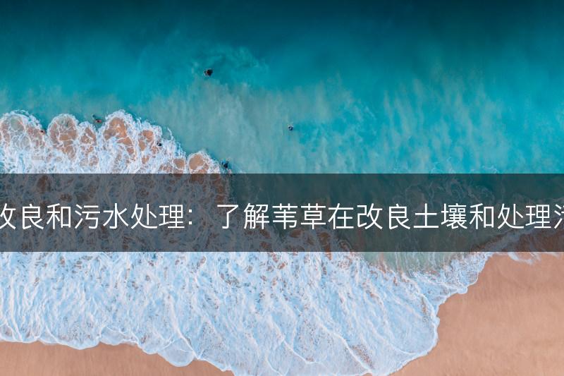 苇草的土壤改良和污水处理：了解苇草在改良土壤和处理污水中的作用(图1)