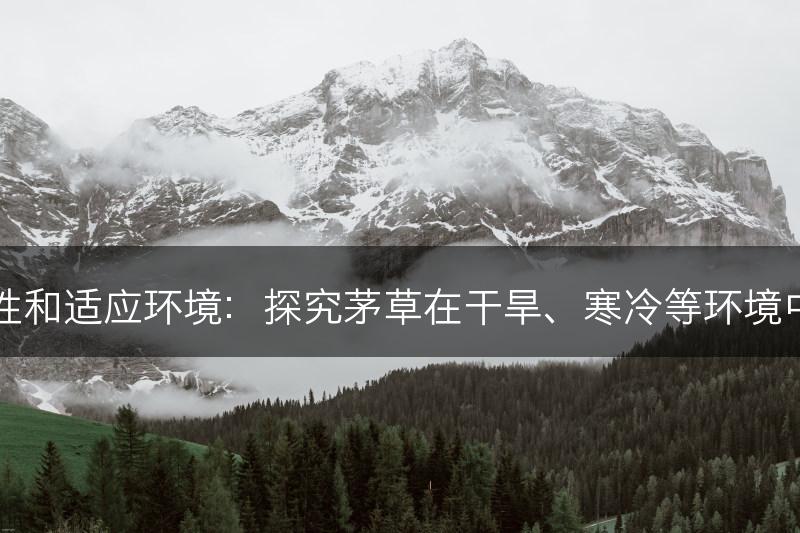 茅草的抗逆性和适应环境：探究茅草在干旱、寒冷等环境中的适应能力(图1)