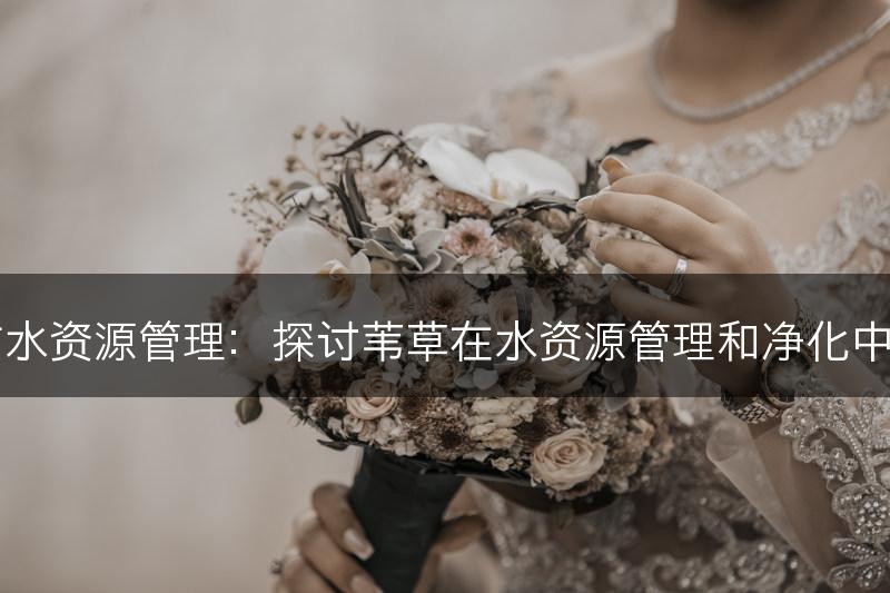 苇草与水资源管理：探讨苇草在水资源管理和净化中的应用(图1)