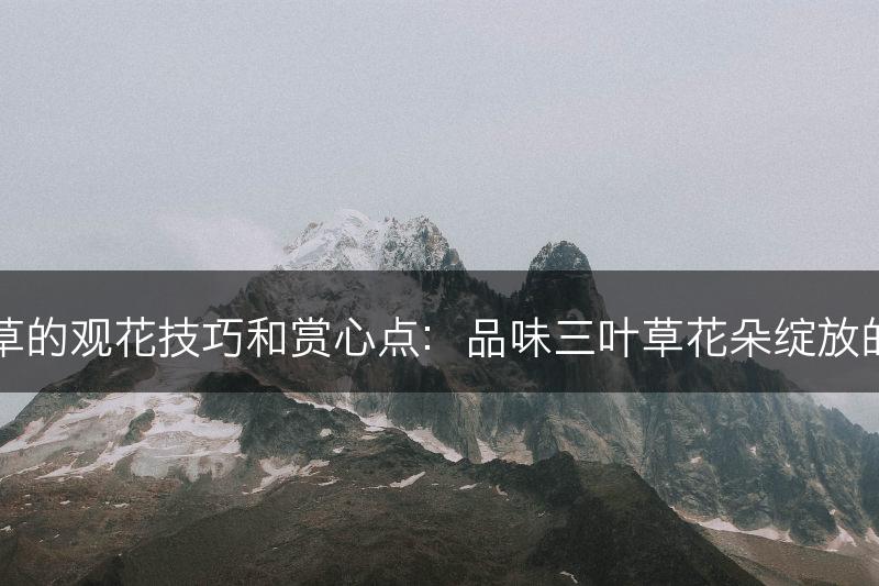 三叶草的观花技巧和赏心点：品味三叶草花朵绽放的美丽(图1)