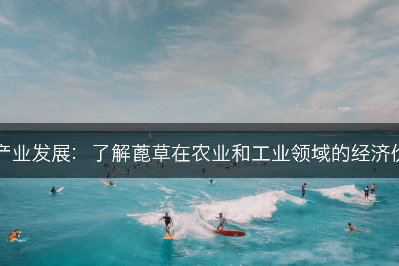 蓖草的经济价值和产业发展：了解蓖草在农业和工业领域的经济价值和产业发展潜力(图1)