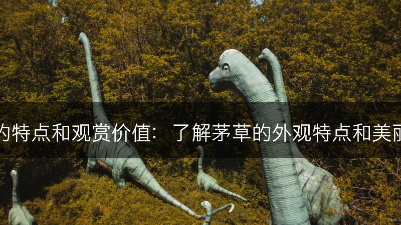 茅草的特点和观赏价值：了解茅草的外观特点和美丽价值(图1)