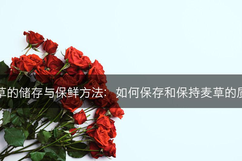 麦草的储存与保鲜方法：如何保存和保持麦草的质量(图1)