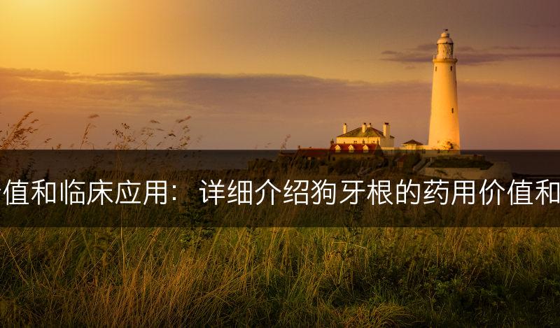 狗牙根的药用价值和临床应用：详细介绍狗牙根的药用价值和在临床上的应用(图1)
