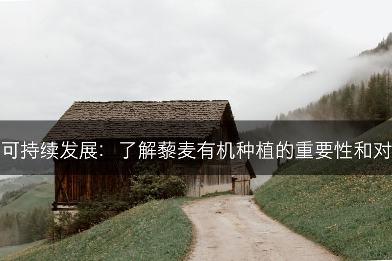 藜麦的有机种植和可持续发展：了解藜麦有机种植的重要性和对可持续发展的贡献(图1)