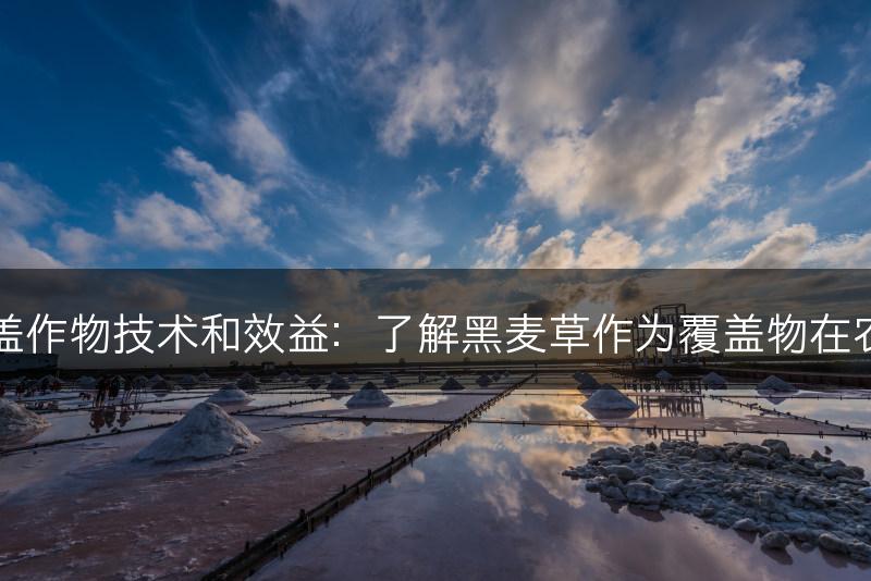 黑麦草的覆盖作物技术和效益：了解黑麦草作为覆盖物在农田中的应用(图1)