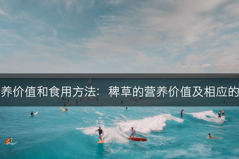 稗草的营养价值和食用方法：稗草的营养价值及相应的食用方法(图1)