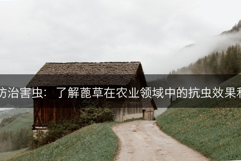 蓖草的抗虫和防治害虫：了解蓖草在农业领域中的抗虫效果和害虫防治应用(图1)