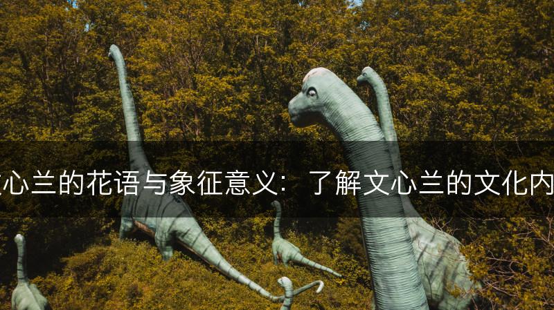 文心兰的花语与象征意义：了解文心兰的文化内涵(图1)