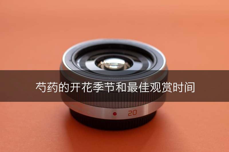 芍药的开花季节和最佳观赏时间(图1)