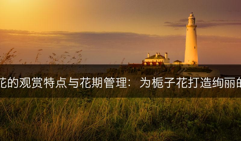 栀子花的观赏特点与花期管理：为栀子花打造绚丽的花期(图1)