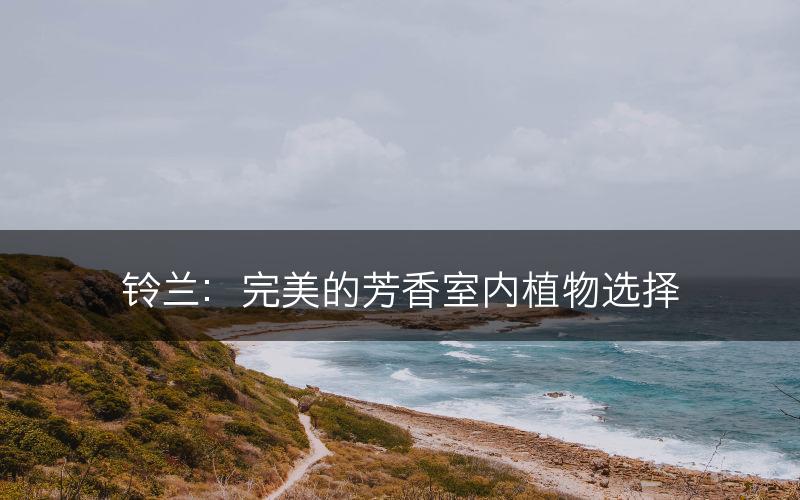 铃兰：完美的芳香室内植物选择(图1)