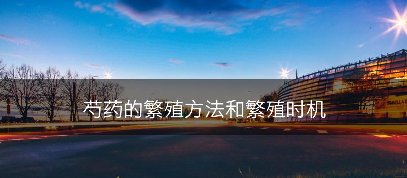 芍药的繁殖方法和繁殖时机(图1)