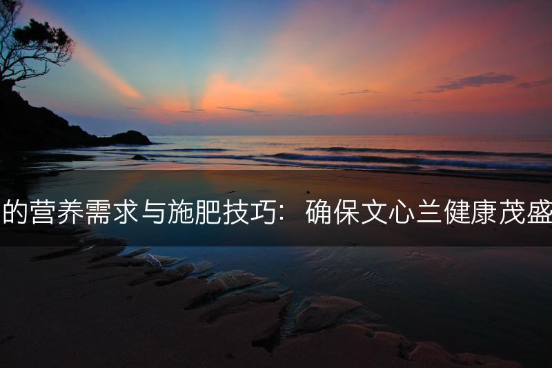 文心兰的营养需求与施肥技巧：确保文心兰健康茂盛的生长(图1)