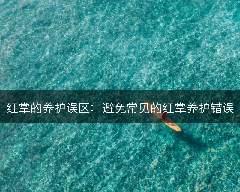 红掌的养护误区：避免常见的红掌养护错误(图1)