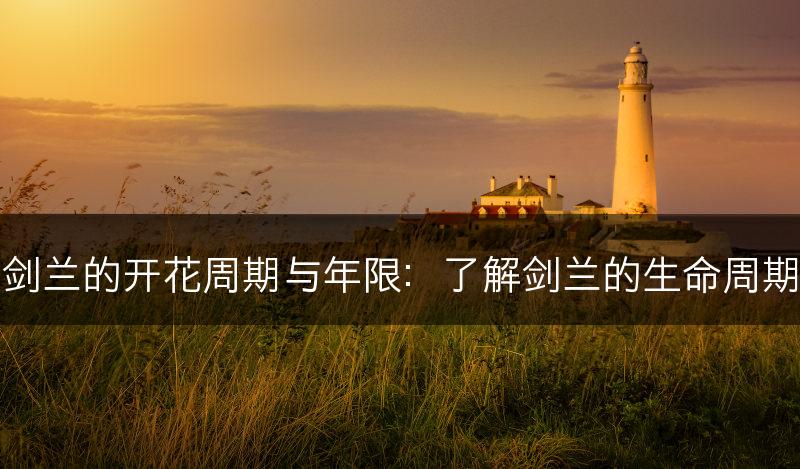 剑兰的开花周期与年限：了解剑兰的生命周期(图1)