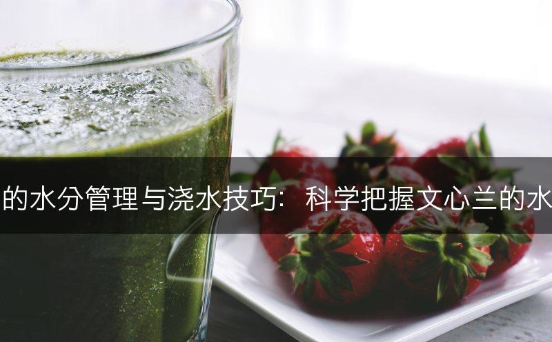 文心兰的水分管理与浇水技巧：科学把握文心兰的水务需求(图1)