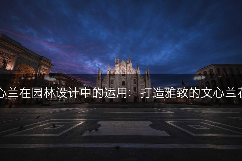 文心兰在园林设计中的运用：打造雅致的文心兰花园(图1)