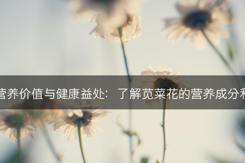 苋菜花的营养价值与健康益处：了解苋菜花的营养成分和保健功效(图1)