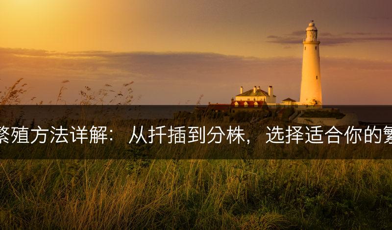 红掌的繁殖方法详解：从扦插到分株，选择适合你的繁殖方式(图1)