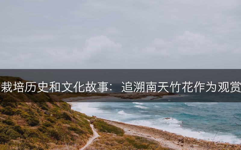 南天竹花的栽培历史和文化故事：追溯南天竹花作为观赏植物的起源(图1)