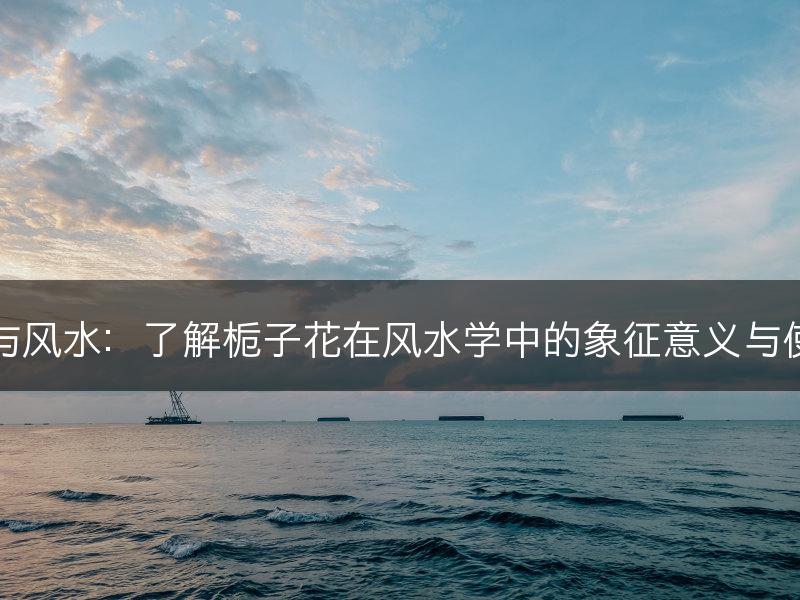 栀子花与风水：了解栀子花在风水学中的象征意义与使用方法(图1)