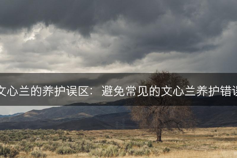 文心兰的养护误区：避免常见的文心兰养护错误(图1)