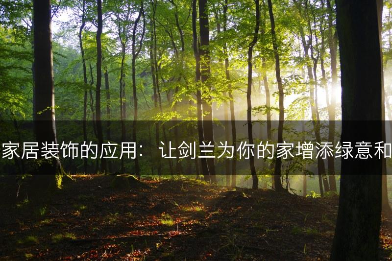 剑兰家居装饰的应用：让剑兰为你的家增添绿意和魅力(图1)