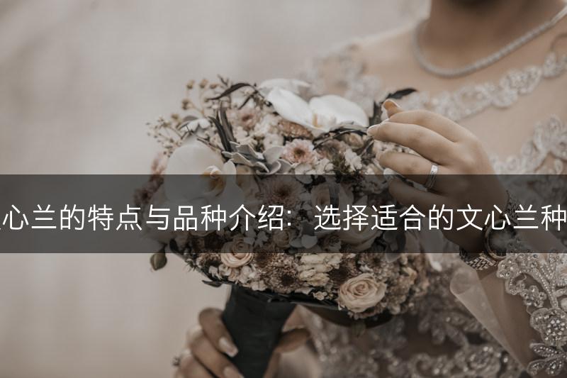 文心兰的特点与品种介绍：选择适合的文心兰种类(图1)