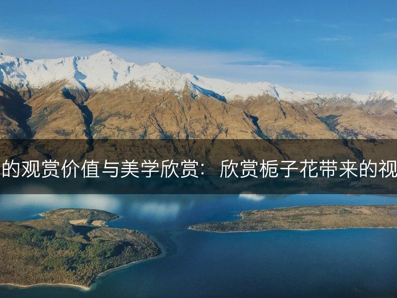 栀子花的观赏价值与美学欣赏：欣赏栀子花带来的视觉享受(图1)