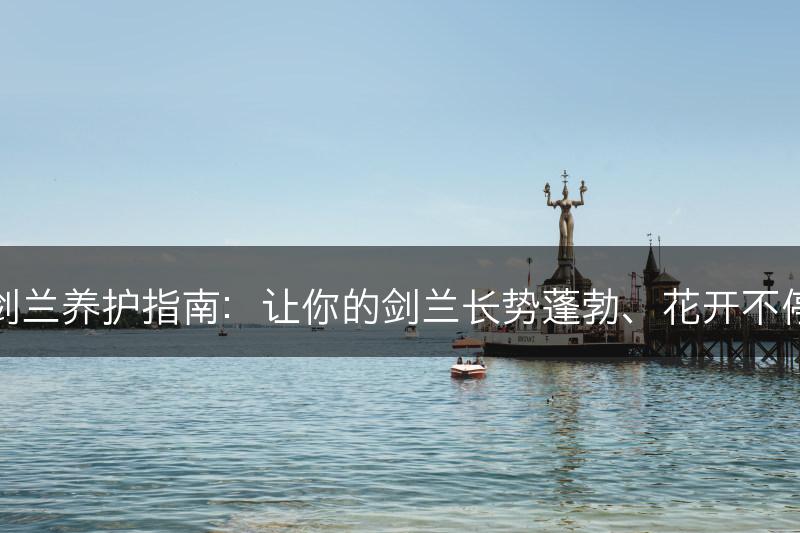 剑兰养护指南：让你的剑兰长势蓬勃、花开不停(图1)